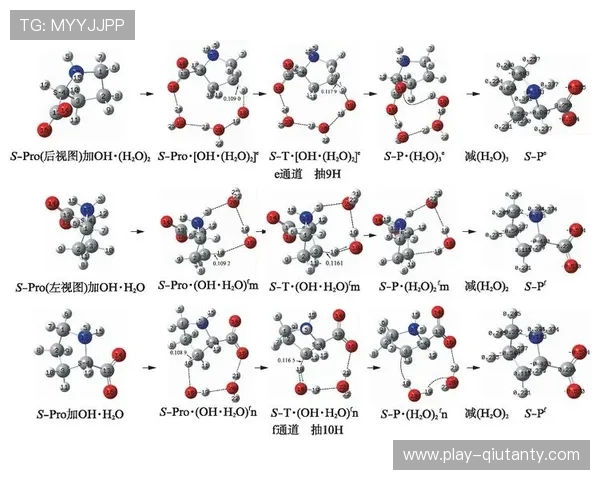 基于自由潜水损伤康复的肩部柔韧性训练体系构建与方案优化研究